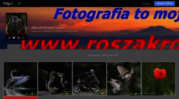 Romrosz Flog Pl Fotoblog Flog Pl Tw J Blog F Romrosz Flog