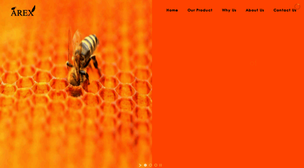 0449.app.arexgo.com