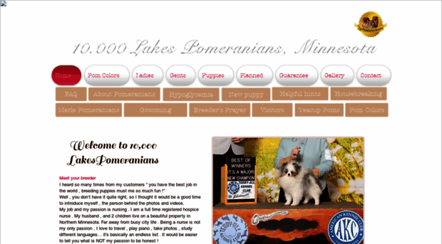 10000lakespomeranians.com