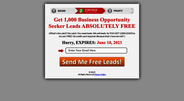 1000leads.pureprofitsystems.com