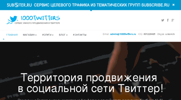 1000twitters.ru