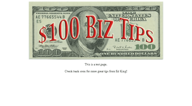 100dollarbiztips.com