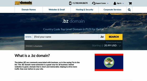 101domain.bz