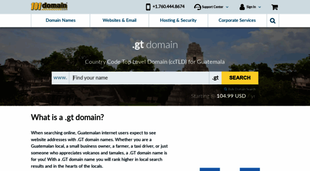 101domain.com.gt