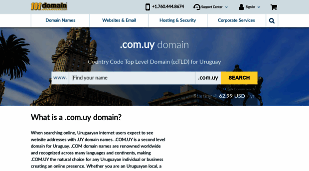 101domain.com.uy