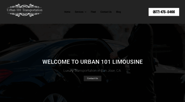 101limousine.net