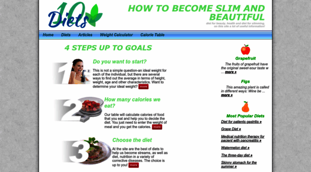 10diets4you.com