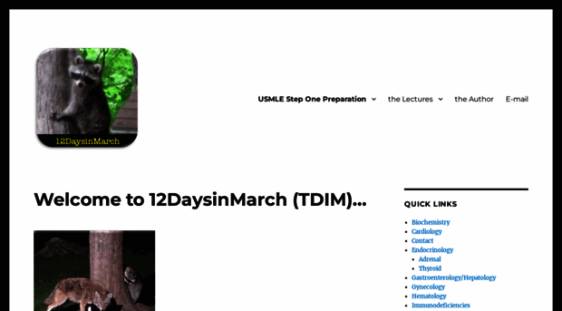 12daysinmarch.com