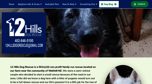 12hillsdogrescue.org