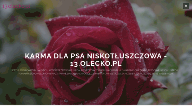 13.olecko.pl