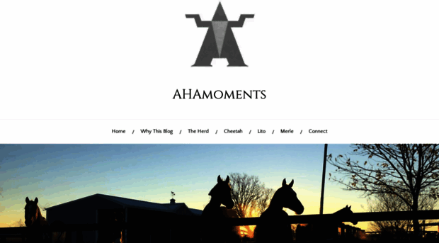 13ahamoments.com