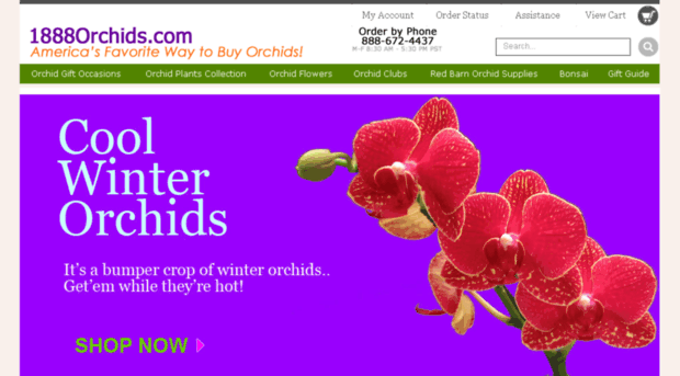 1888orchids.com