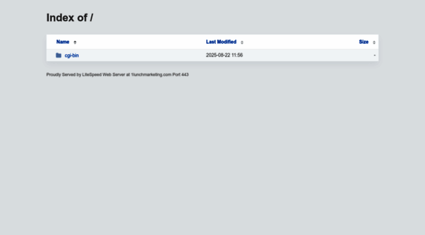 1lunchmarketing.com