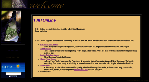 1nhonline.com