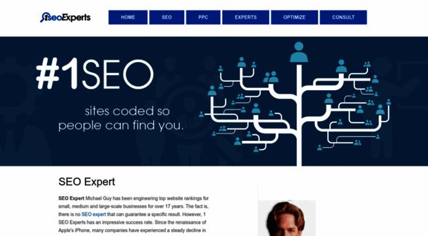 1seoexperts.com