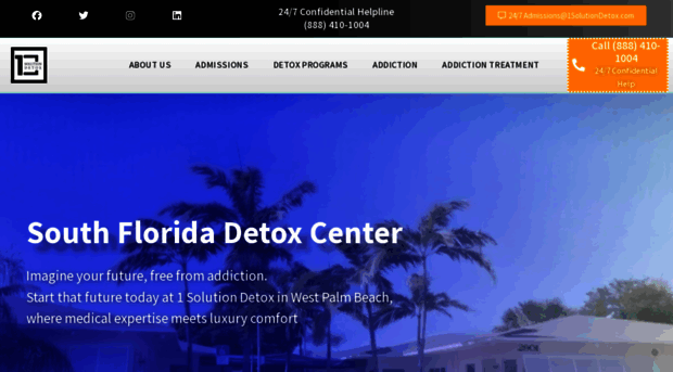 1solutiondetox.com