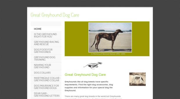 1st-greyhound-dog-care.com