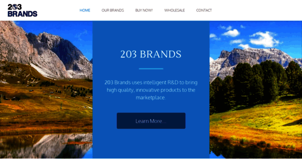 203brands.com