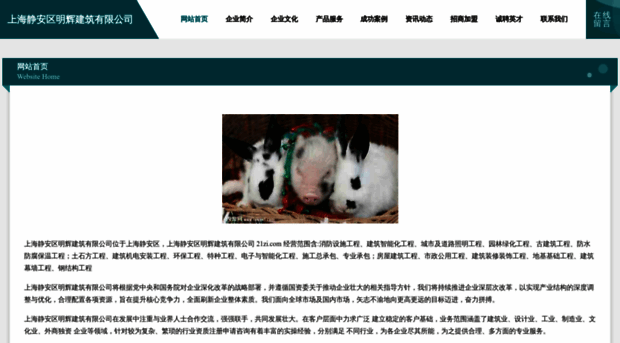 21zi.com