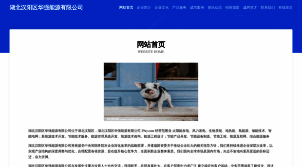 29ay.com