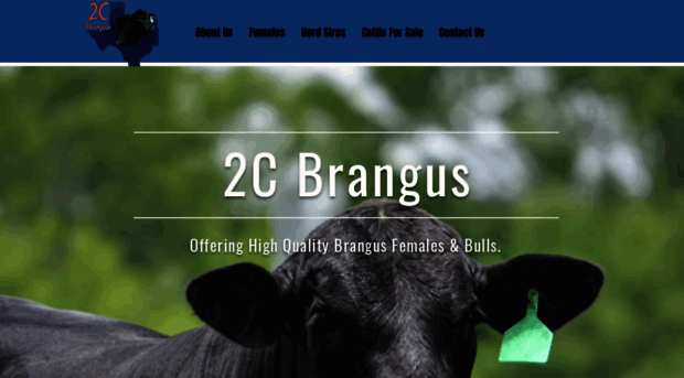 2cbrangus.com