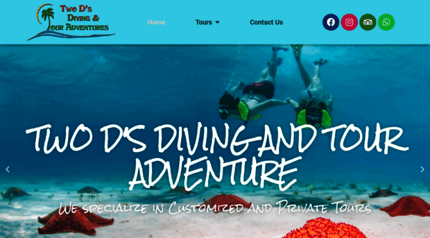 2dsdivingandtours.com