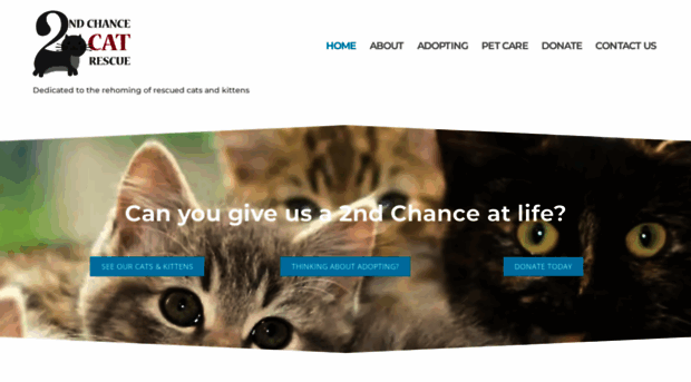 2ndchancecatrescue.com.au