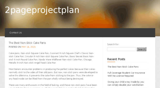 2pageprojectplan.com