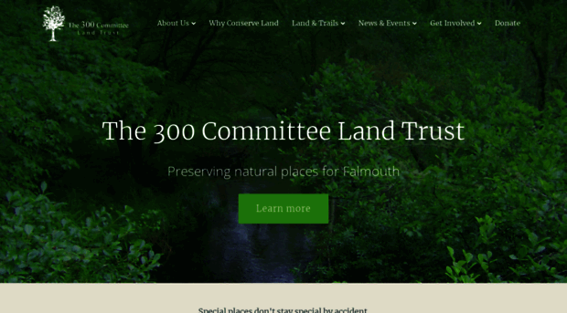 300committee.org