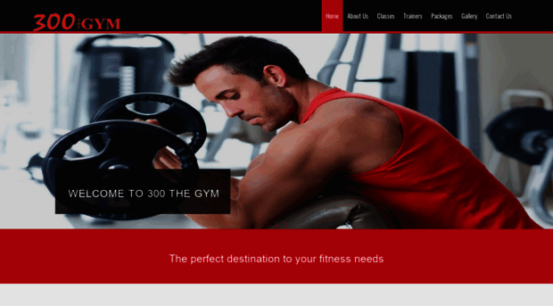 300thegym.com