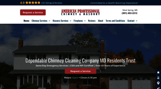 301chimney.com