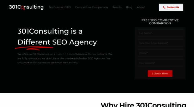 301consulting.com