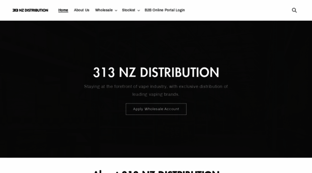 313.co.nz