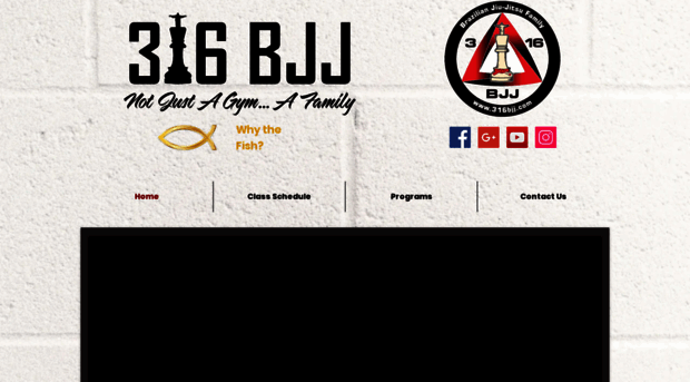 316bjj.com