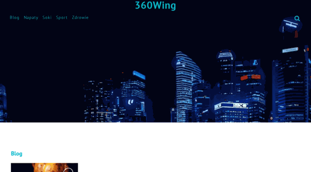 360wing.com
