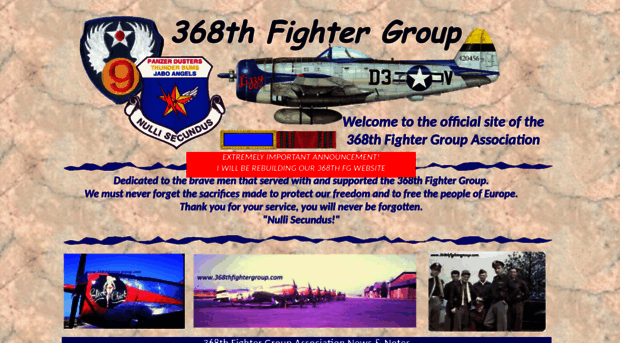 368thfightergroup.com