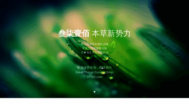 37100.com