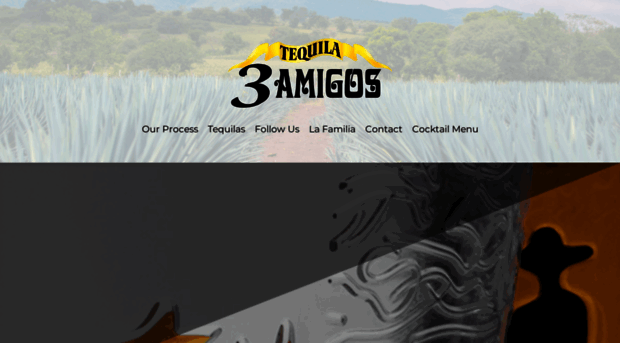 3amigostequila.com