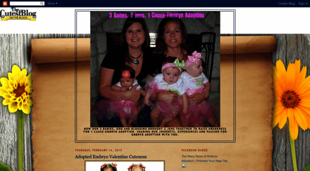 3babes2jens1cause-embryoadoption.blogspot.com