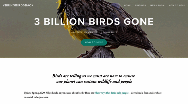 3billionbirds.org