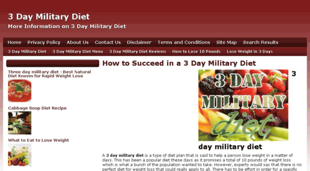 3daymilitarydietguide.co