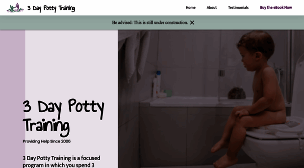 3daypottytraining.com