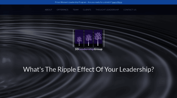 3dleadershipgroup.com