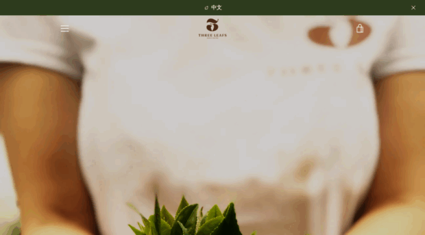 3leafstea.com