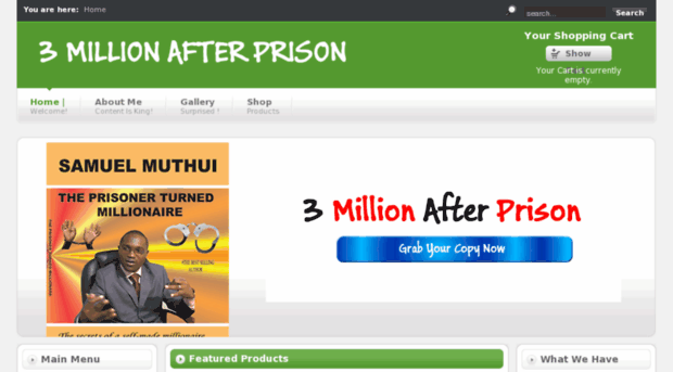 3millionafterprison.org