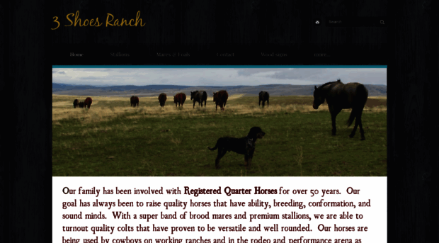 3shoesranch.com