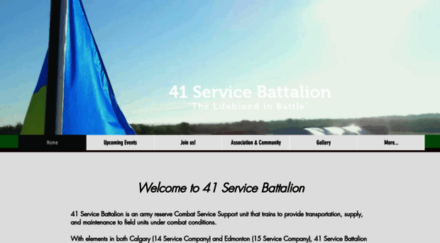 41service.com