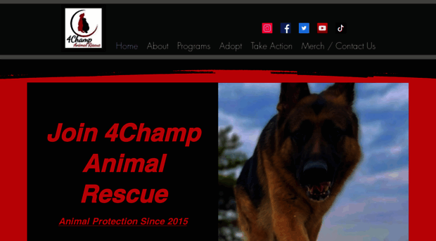 4champanimalrescue.com