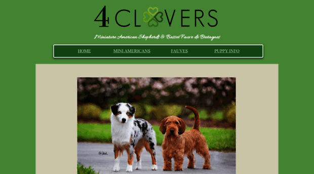 4cloversaussies.com