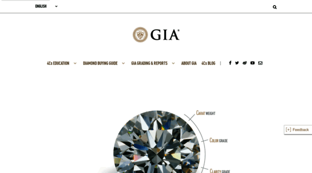 4csblog.gia.edu